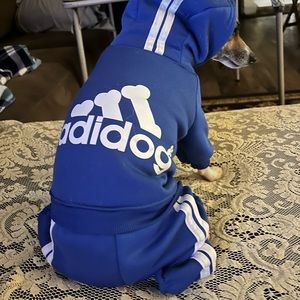 Addidog doggie sweats one piece